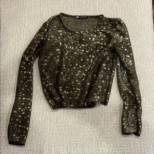 Zara Metallic Knit Top
